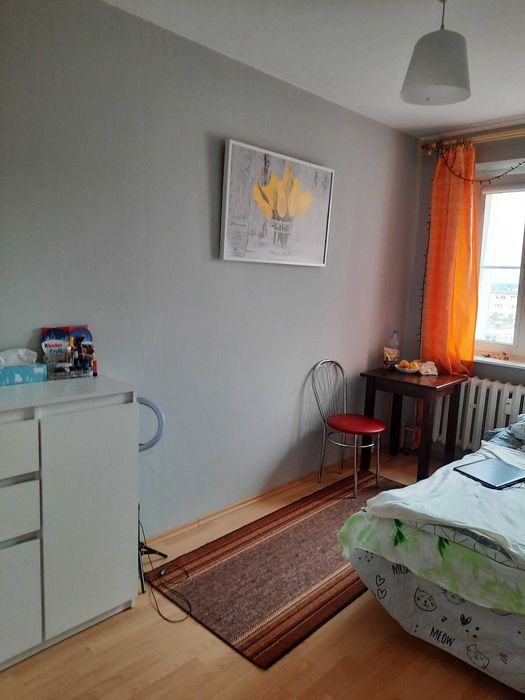Gryfino wynajem 1 pokój w mieszkaniu 3 pokojowym.