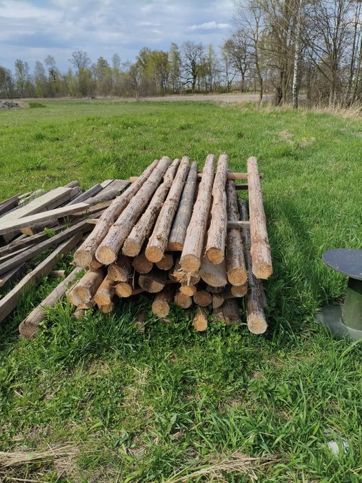 Stemple drewniane , 2.93m, około 40 sztuk