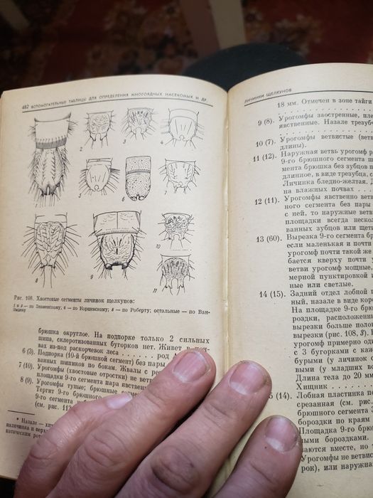 оределитель сельско хозяйствених вредителей