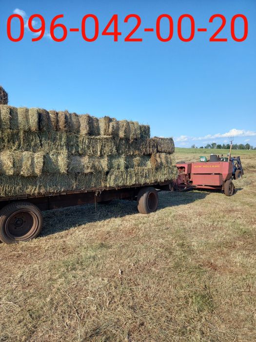 сіно    ЗЛАКОВЕ,  лугове,  польове