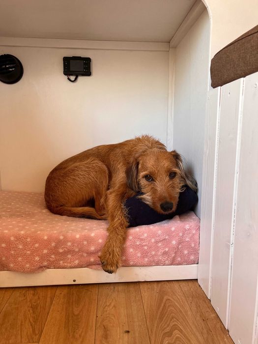 Campervan Ford Transit L2H3 - Especial Dormitório