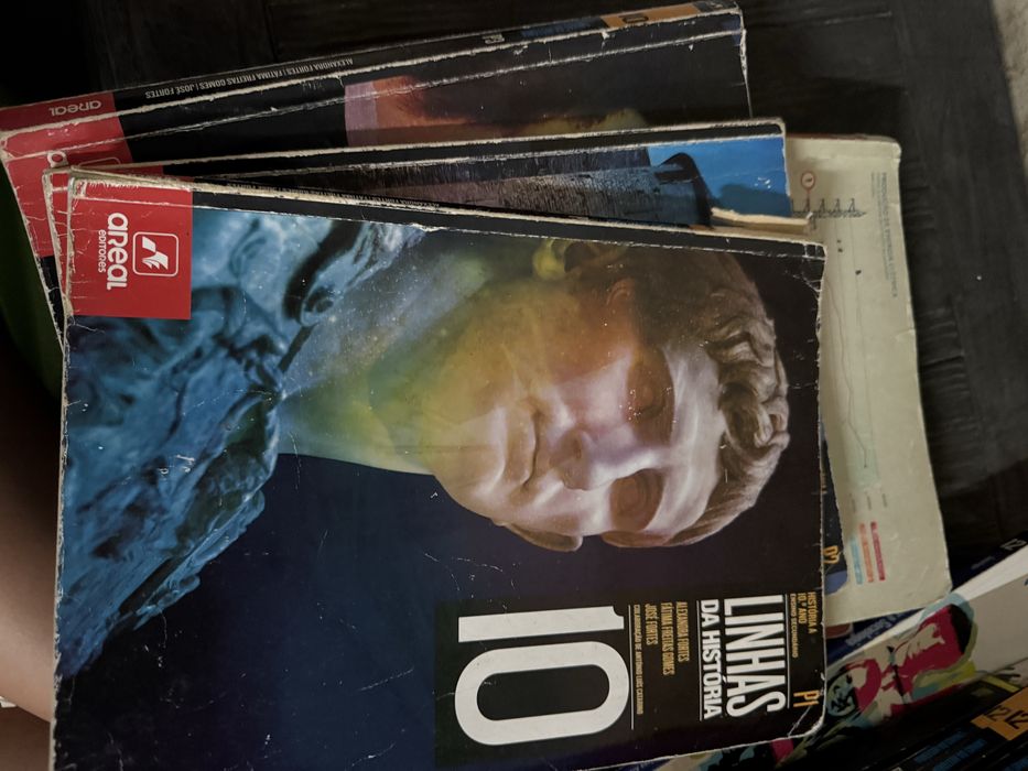 Livros escolares do 10 ano de escolaridade