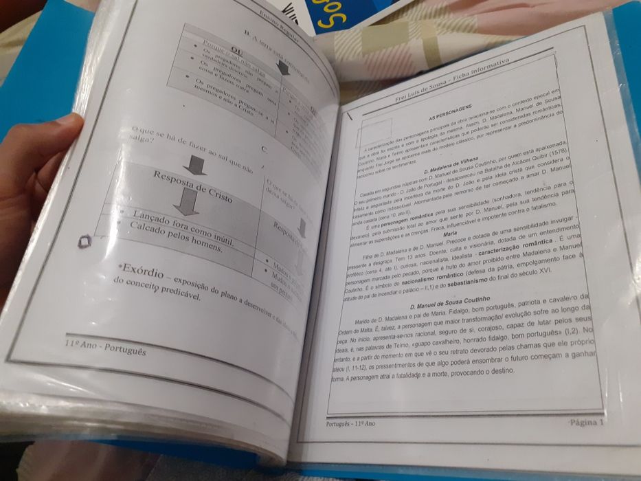 Pasta com fichas informativas - Matéria do 8° ao 11° ano64552290940418124
