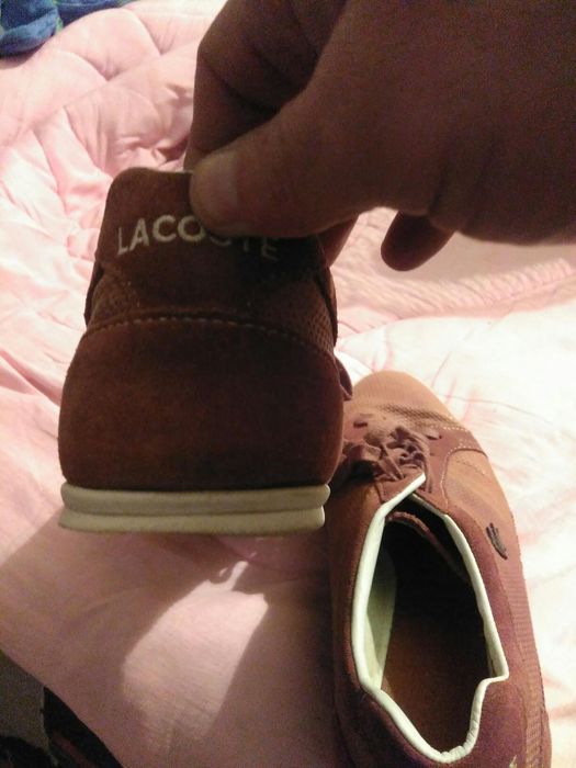 Оригинал Lacoste
