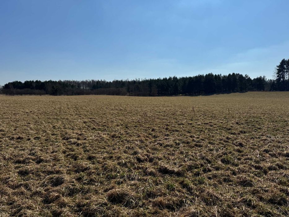 Działki budowlane 600m od jeziora. Obłęże k. Kępic - View 5