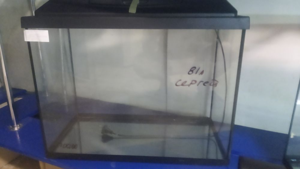 Аквариумы новые 22л,34л, 52л, 54л, 65 аквариумные рыбки