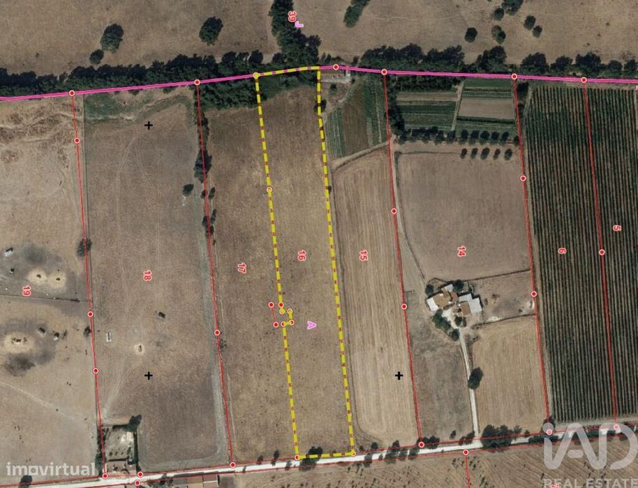 Terreno Agrícola em Estremoz