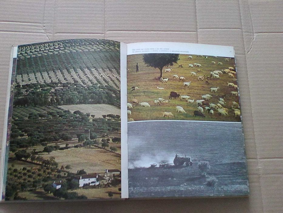 Portugal: Um País que importa conhecer