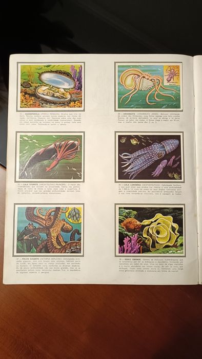 Cadernetas Panorama Zoológico completa