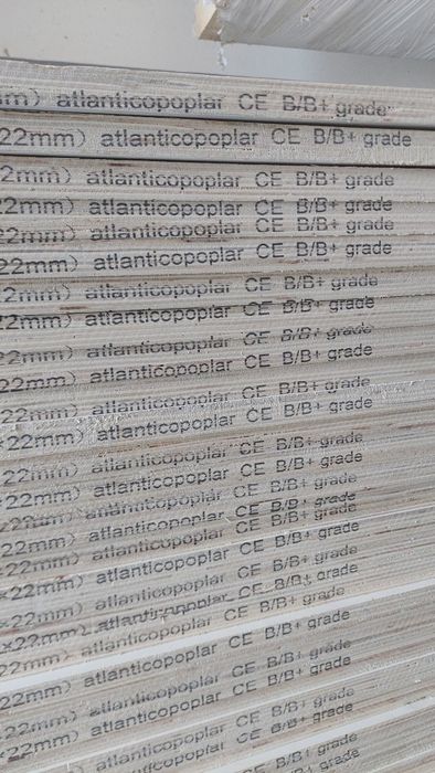 Contraplacado Choupo B/B+