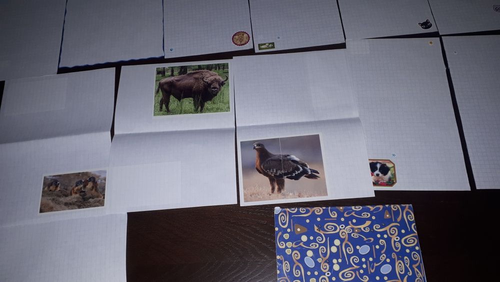 Papeteria rękodzieło plus notesik