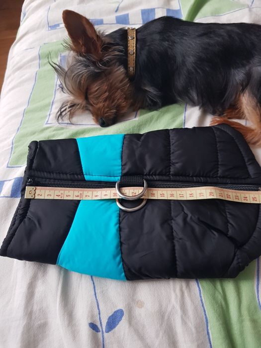 Одежа для собачки