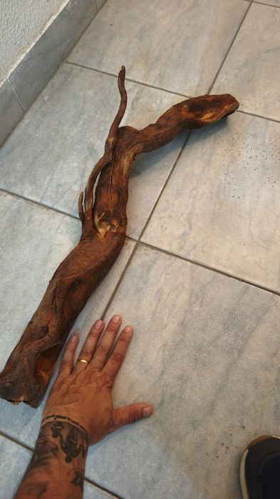 Tronco natural para aquário