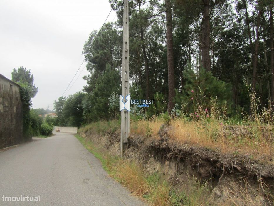 Excelente Terreno, C/9600 M2, Junto Á Didax Em Cruz, Famalicão