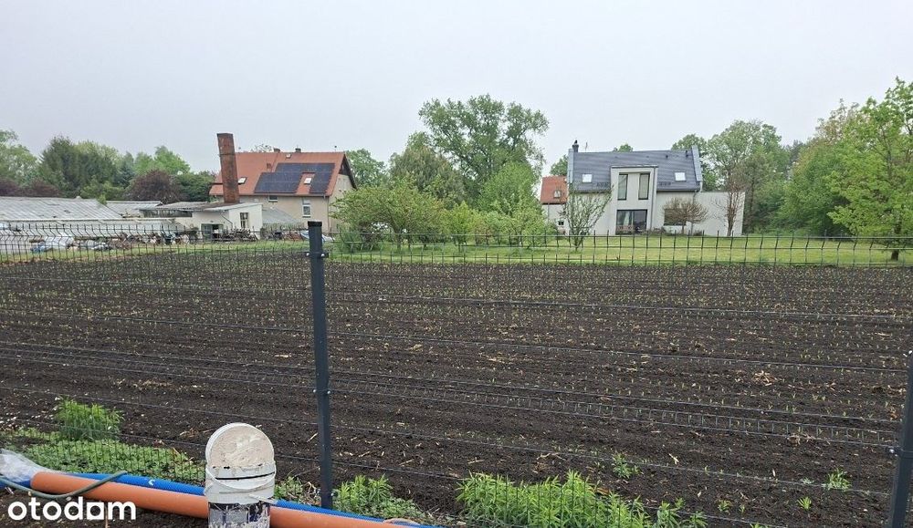 Biestrzyków - działka budowlana 2 km od Ołtaszyna - Widok 2