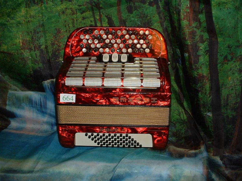 Promoção de Acordeões de concertinas