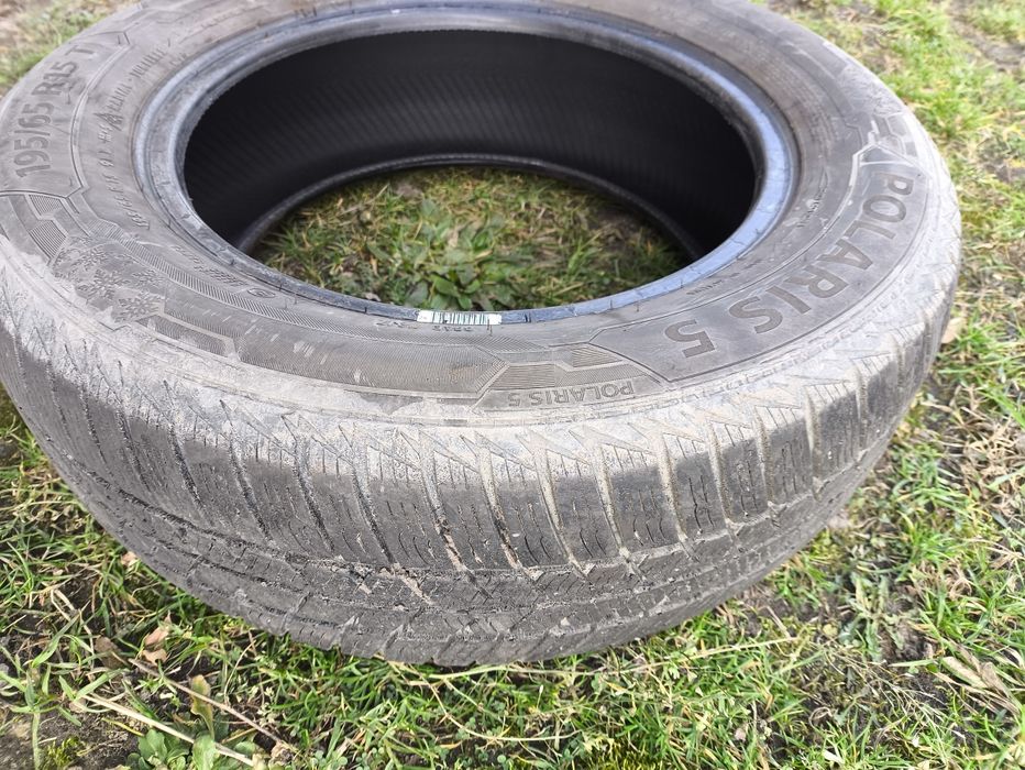 Opona zima Barum Polaris 5 195/65/15