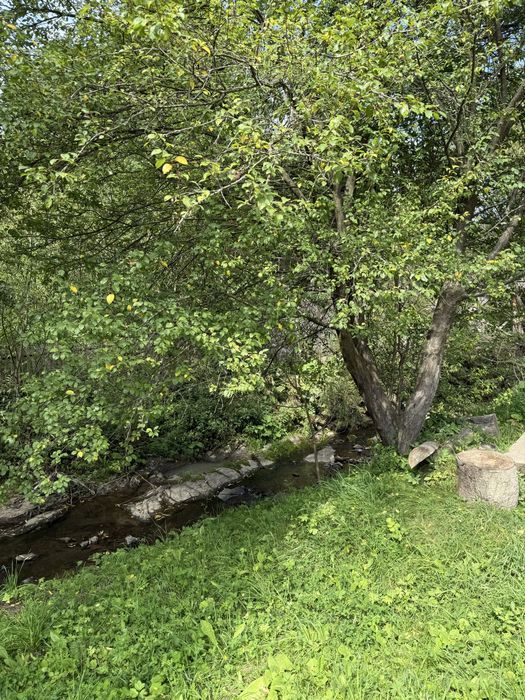 Продається будинок та 10 соток у с. Верхній Студений у карпатах