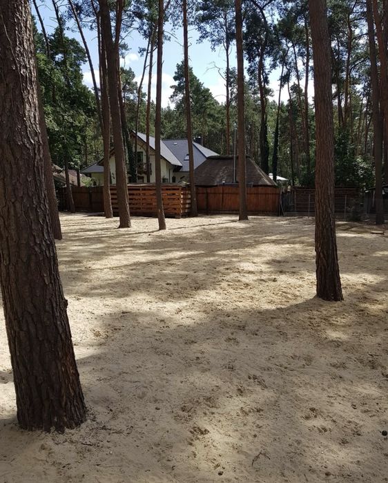 Hotel dla psiakow