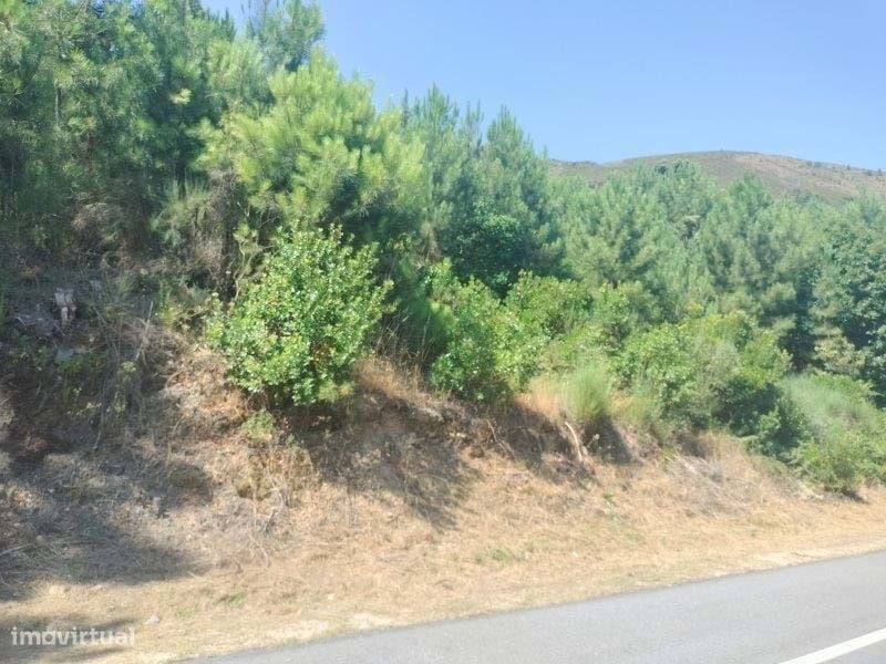 Land Plot | Vila Real | 57 Hectares