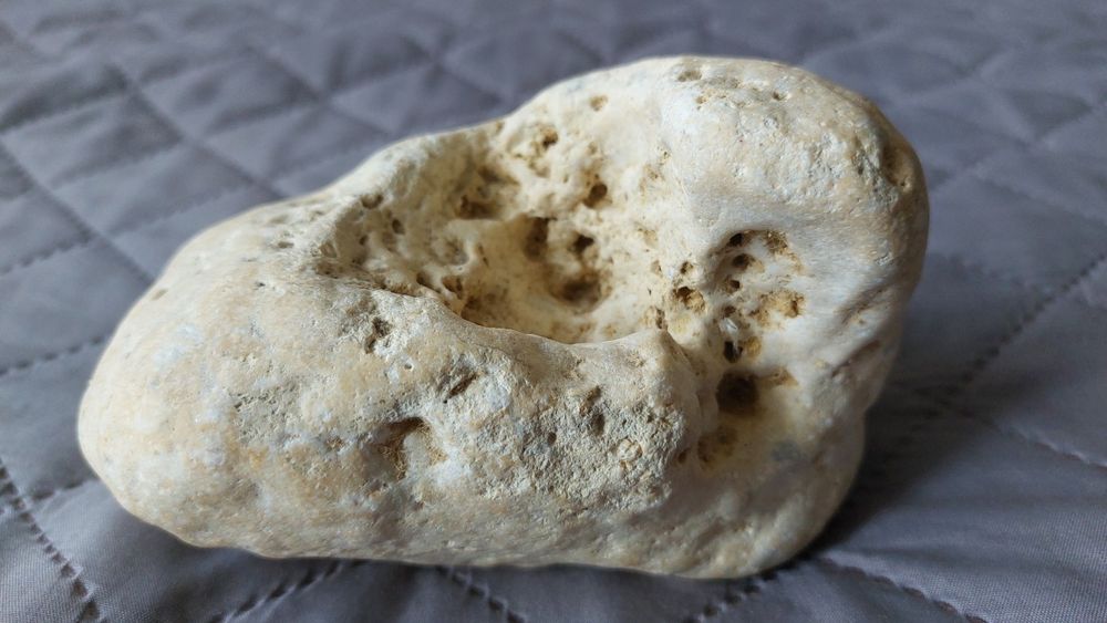 Акваріумні аксесуари камінь, ракушки  з Севастополя !