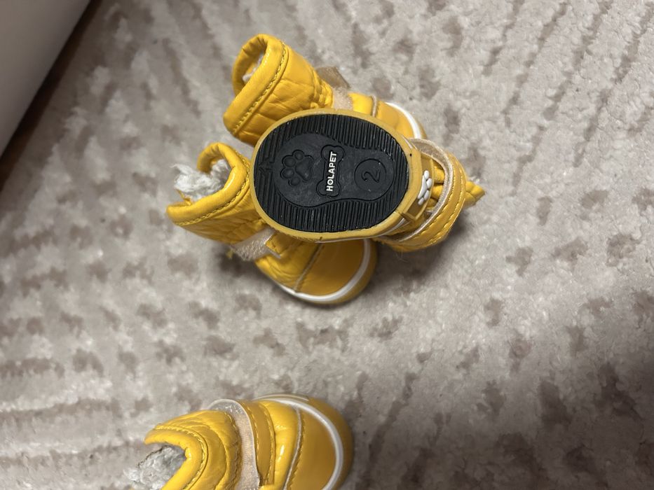 Чобітки для маленького песика