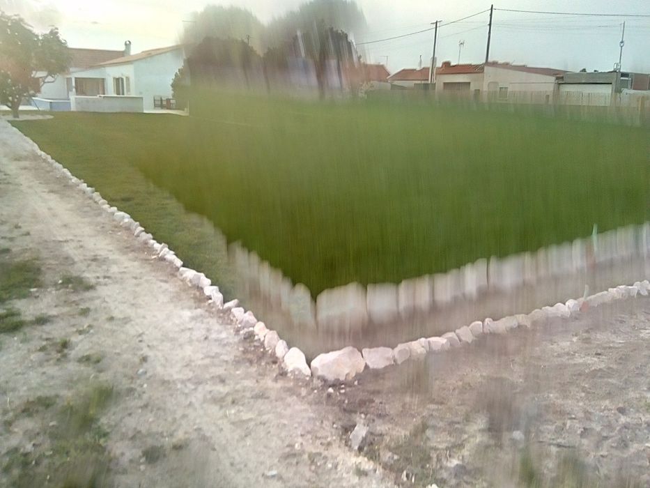 Relvado tapete natural relva