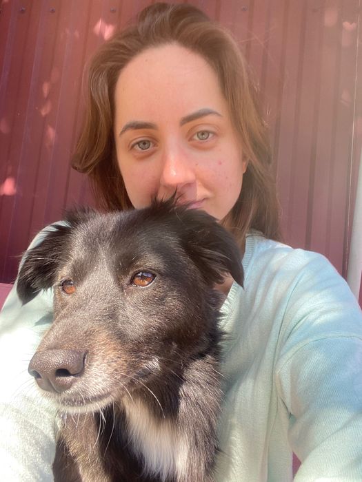 Собака в добрі руки