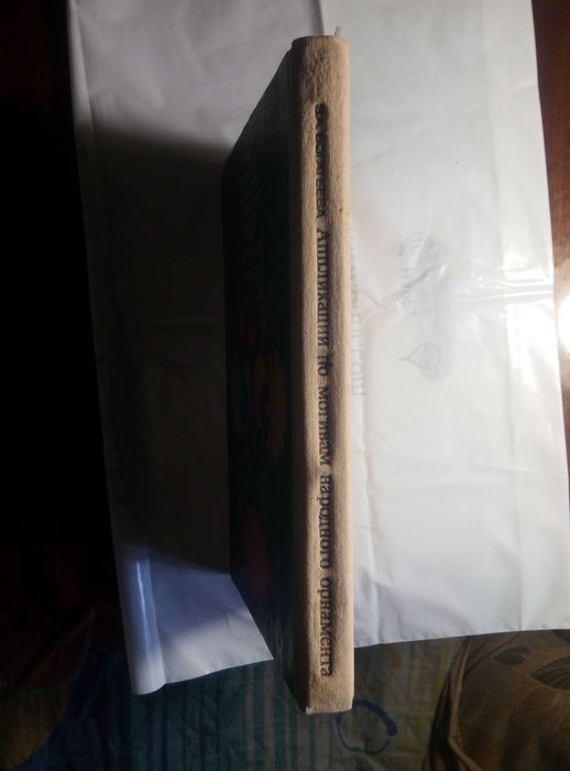 Аппликации по мотивам народного орнамента в детском саду 1982г