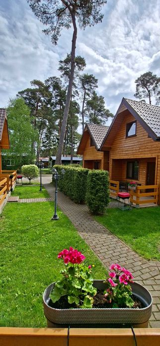 Domek nad morzem 9 osobowy cena za osobę na terenie płac zabaw  basen