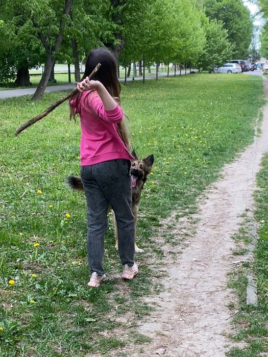 Перетримка ваших тварин з любовью, котики та інші, зооперетримка
