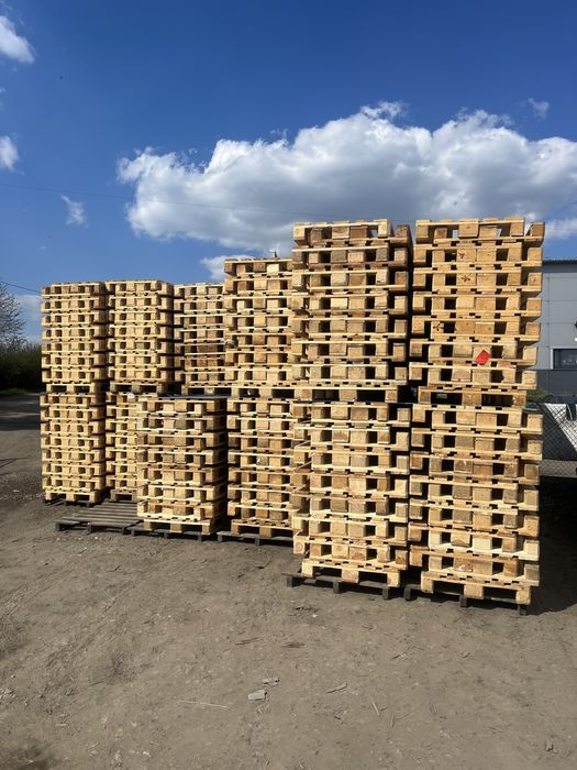 Paleta EURO I Gatunek Jasna