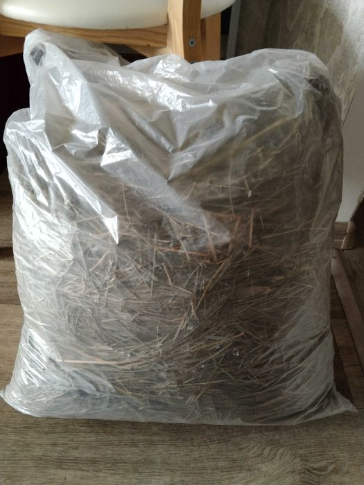 Сіно для гризунів