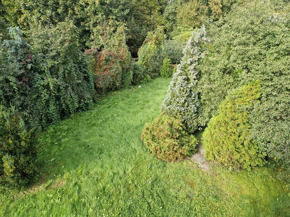 Sprzedam działkę 888 m² Sadki bardzo korzystna lokalizacja - Widok 4