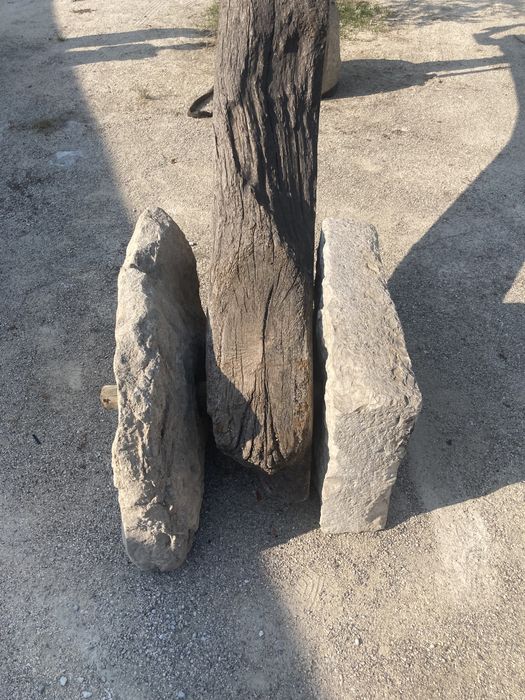 Vara de lagar antiga