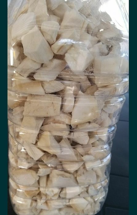 Osso de Choco aos quadrados.