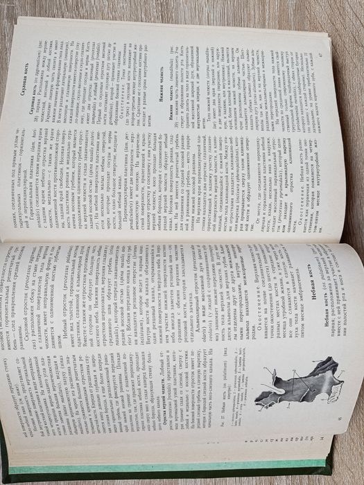 Анатомія людини для студентів вищих навчальних закладів.