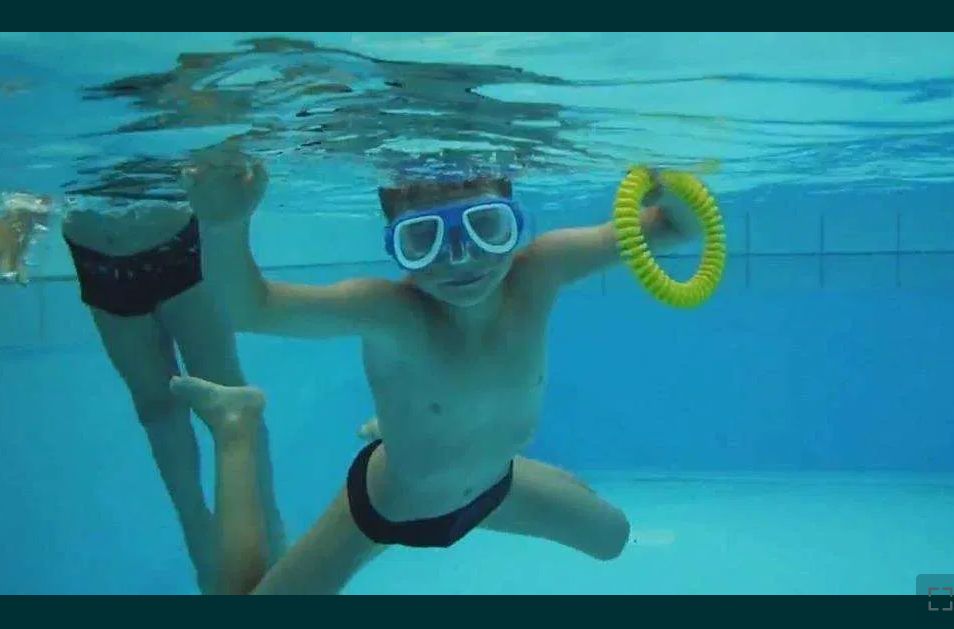 OPORTUNIDADES - Medion + Toshiba Camileo X200