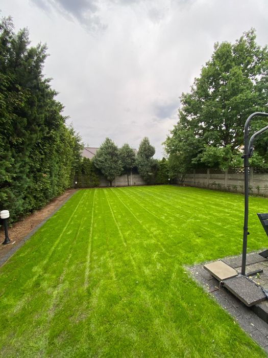Zakładanie ogrodów