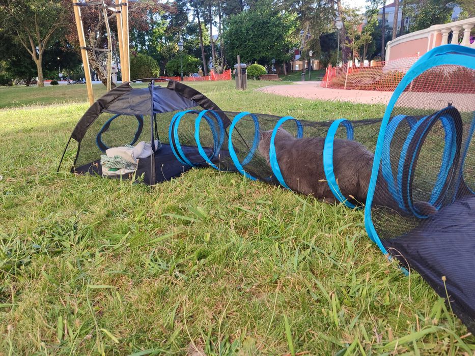 Parque para gato