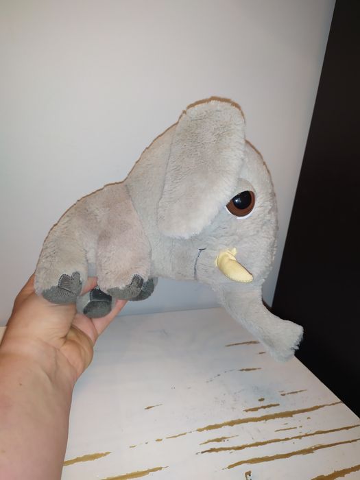 Słoń słonik szary maskotka pluszak przytulanka Big Headz