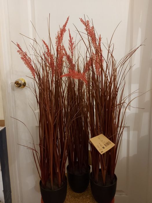 Рослина трава пампасна очерет штучна 90 см