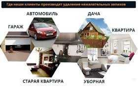 Дезинфекция Озонирование Запах Грибок Табак Крысы Вирусы