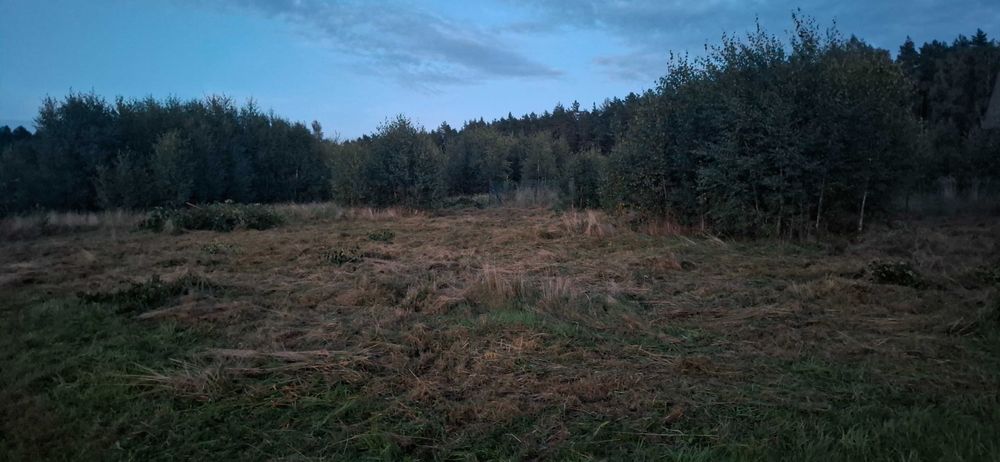 DZIAŁKA 1000 m² – jezioro 500 M, lasy, S6 I SZYBKI DOJAZD DO TRÓJMIASTA! - Widok 2