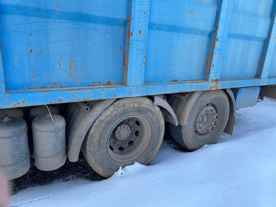 Авто DAF XF 105460 -2008   грузовой контейнеровоз - зерновоз