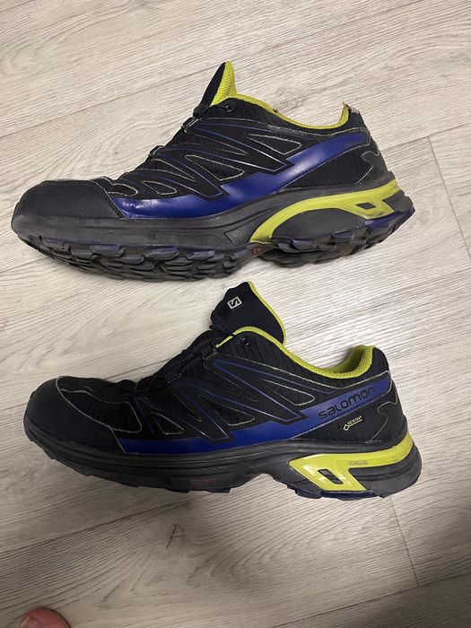 Кросівки Salomon Wings Access 2 GTX