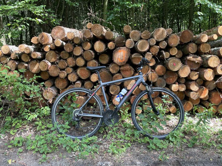 Rower crossowy Evado szary 21” L 178-190