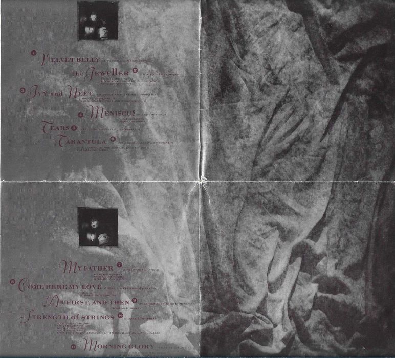 This Mortal Coil - - - - - Filigree & Shadow - - - - - CD