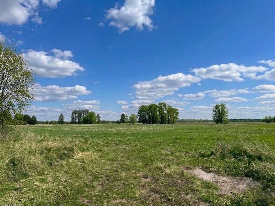 Продаж земельної ділянки 25 соток - ОСГ. Зручний заїзд. Біля лісосмуги. ID:607