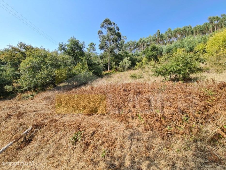 Terreno Rustico com 2957 m2 na Carrasqueira, Malveira . — Malveira E São Miguel De Alcainça, Lisboa
